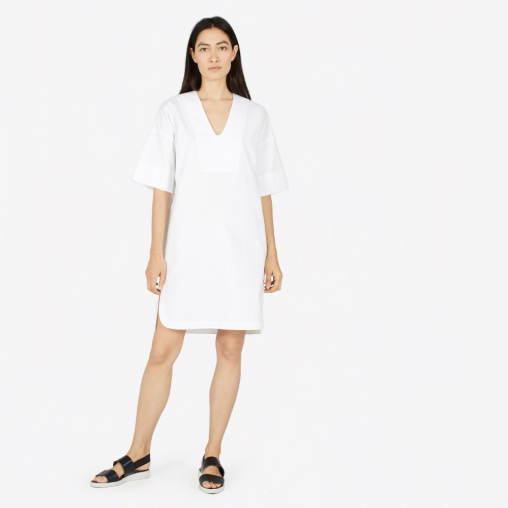 Everlane Cotton Poplin Dress